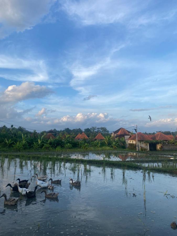Villa Jepun Ubud Exterior foto